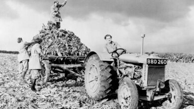 استفاده از اولین تراکتورهای امروزی در مزارع کشاورزی پس از جنگ جهانی اول