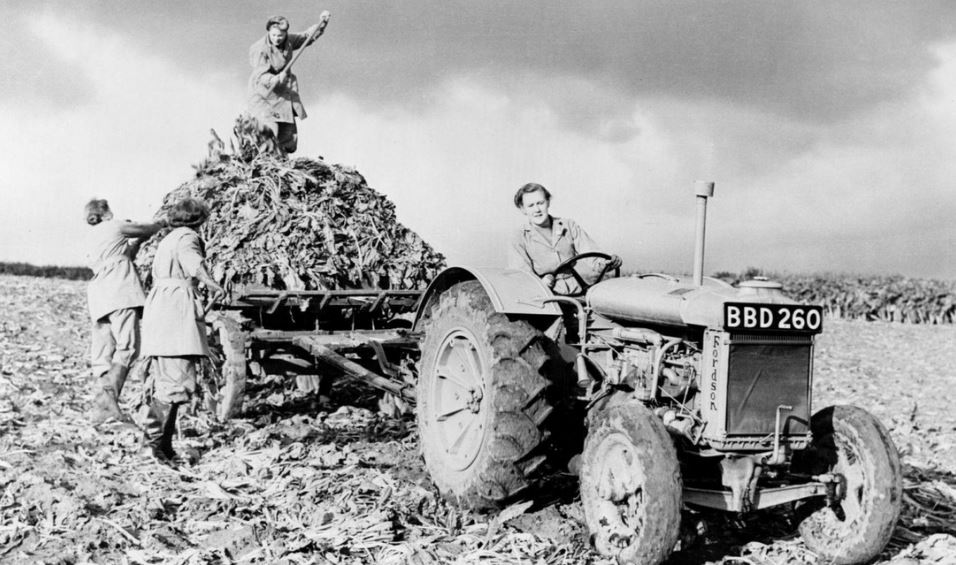 استفاده از اولین تراکتورهای امروزی در مزارع کشاورزی پس از جنگ جهانی اول