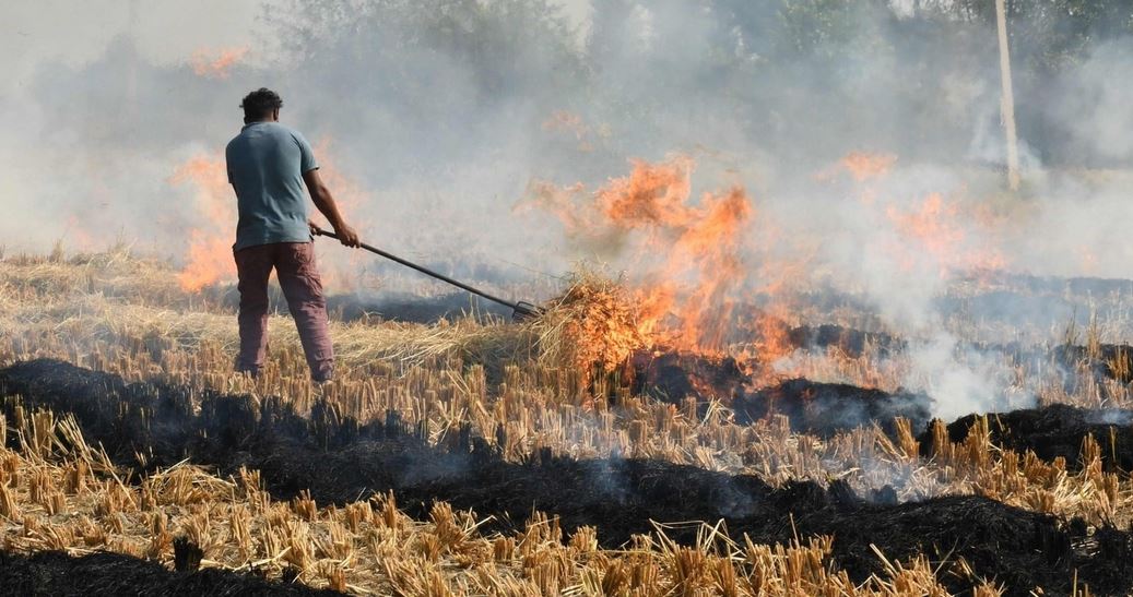 سوزاندن کاه و کلش پس از برداشت غلات