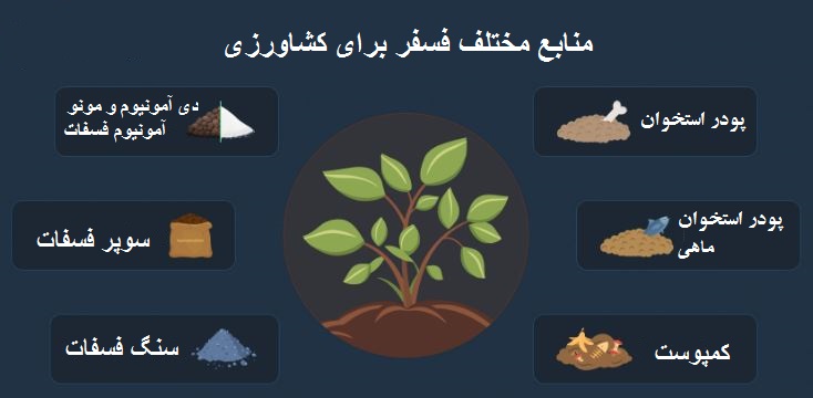 انواع منابع فسفر